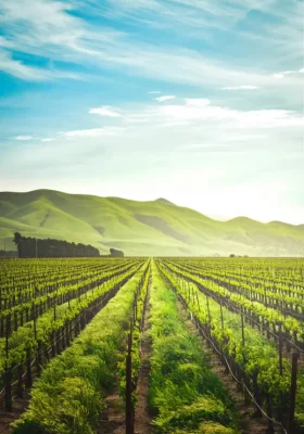 Precision Agriculture